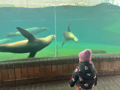 Ein Tag im Zoo